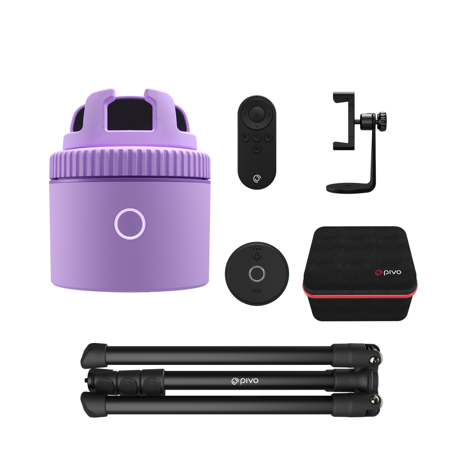 Purple / Equestrian Virtual Lesson Pack