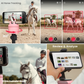Pink / Equestrian Starter Pack | Pink / Equestrian Essential Pack | Pink / Equestrian Virtual Lesson Pack | Pink / Equestrian Lite