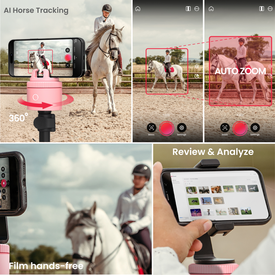 Pink / Equestrian Starter Pack | Pink / Equestrian Essential Pack | Pink / Equestrian Virtual Lesson Pack | Pink / Equestrian Lite